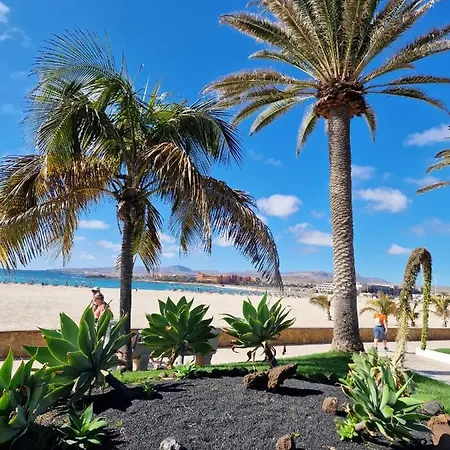 Caleta Апартаменты *